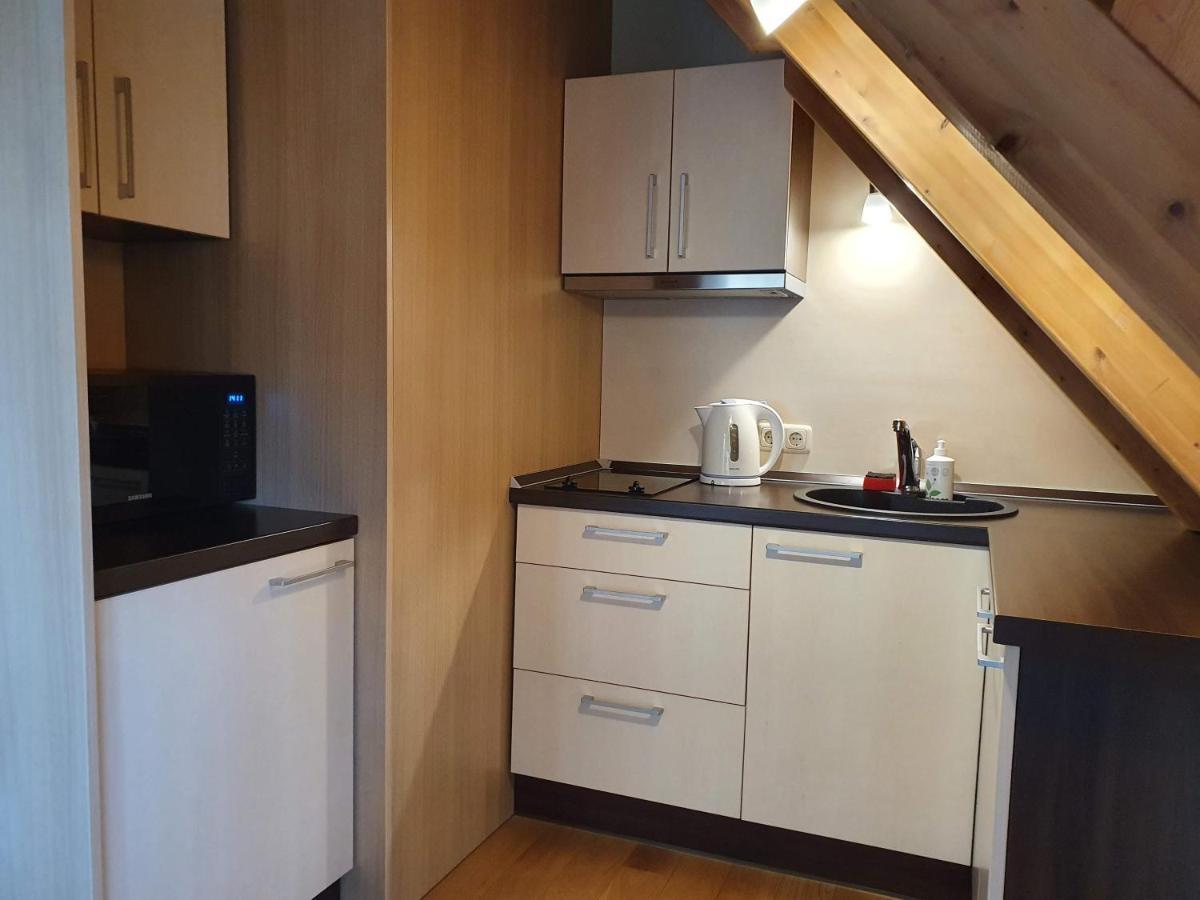 Apartamentai Hunter House Druskininkai Exteriér fotografie