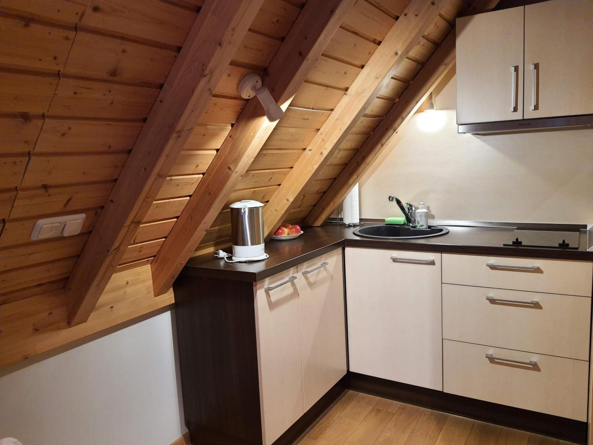 Apartamentai Hunter House Druskininkai Pokoj fotografie